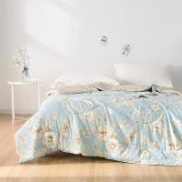 金丝莉（KINTHERI）  草本舒心被  JB-1292 180*210cm (单位:条)
