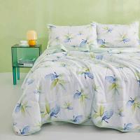 恒源祥（HYX） 雅致叶绿A类抗菌柔软夏凉被 HYX313BZ 200*230cm (单位:床)