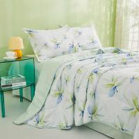 恒源祥（HYX） 雅致叶绿A类抗菌柔软夏凉被 HYX313BZ 200*230cm (单位:床)