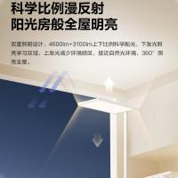 公牛（BULL） ML-L100B 台灯 10.8kg （单位:个）