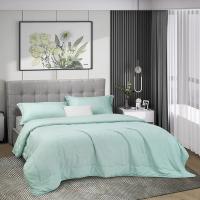 富安娜（fuanna） 凯蒂 轻颜水洗空调被 被子 203*229cm 绿色（单位：床）