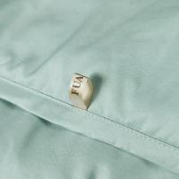 富安娜（fuanna） 凯蒂 轻颜水洗空调被 被子 203*229cm 绿色（单位：床）