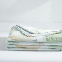 金丝莉（KINTHERI） JB-1315 被子 1条 180*210cm（单位：条）