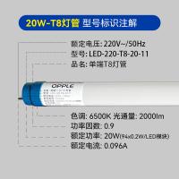 欧普照明（OPPLE） 20W-1200mm-865 灯管 20W 白光（单位：个）