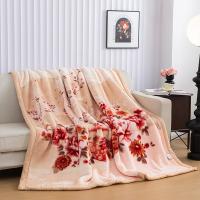 奥特佳（ORTEGA） JF070095 拉舍尔加厚毛毯 200*220cm 3750g(单位：床) 杏色