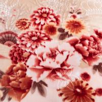 奥特佳（ORTEGA） JF070095 拉舍尔加厚毛毯 200*220cm 3750g(单位：床) 杏色