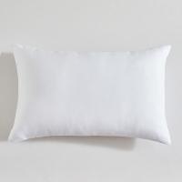 罗莱家纺（LUOLAI） 防螨 安睡对枕  47*73cm*2只 （单位：组） 白色