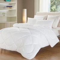 梦洁家纺 1010289087AM001 纯臻大豆厚被 200*230cm 2000g （单位：条）