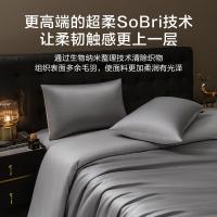 京东京造 100支双感贡缎长绒棉四件套  被套220*240cm 床单250*245cm 枕套74*48cm*2 （单位：套）幻影灰