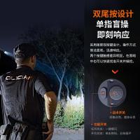 菲尼克斯（FENIX） PD36R Pro 手电筒 2800流明380米射程 曜石黑（单位：个）