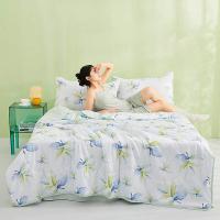 恒源祥（HYX） HYX312BZ 雅致叶绿柔软夏被 160*210cm (单位: 条)