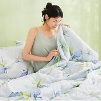 恒源祥（HYX） HYX312BZ 雅致叶绿柔软夏被 160*210cm (单位: 条)