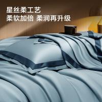 京东京造  100支长绒棉轻奢 植素超柔贡缎床单款四件套 被套:200x230cm 床单:250x245cm 枕套:48x74cm*2  （单位：套）莱茵海蓝