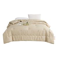 唐纳家纺 TN-ZB24021 柔肤水洗棉冬被 200*230cm（单位：床）