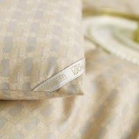 唐纳家纺 TN-ZB24021 柔肤水洗棉冬被 200*230cm（单位：床）