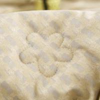 唐纳家纺 TN-ZB24021 柔肤水洗棉冬被 200*230cm（单位：床）