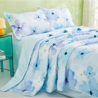 恒源祥（HYX） HYX307BZ 夏凉被 兰颜A类 抗菌柔软  200*230cm （单位：条）