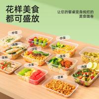特美居 TMJ-867一次性长方型带盖打包餐盒 容量750 300套/箱（单位：箱）透明