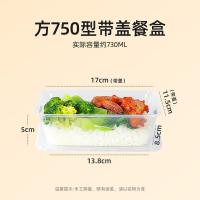 特美居 TMJ-867一次性长方型带盖打包餐盒 容量750 300套/箱（单位：箱）透明