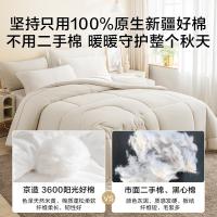 京东京造 亲亲棉花单人冬被 被芯 3050g 1.5x2m（单位：条）奶灰