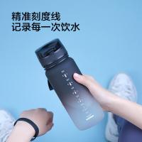 京东京造 渐变运动水壶 塑料杯tritan 水杯77*77*225mm 650ml（单位：个）黑白渐变