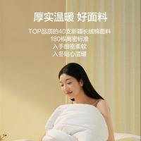 京东京造 阿金朵棉花单人冬被 4.6斤1.5x2m（单位：条）