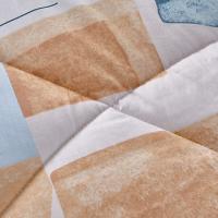 金丝莉（KINTHERI） JB-1237 阳光暖棉被 200x230cm （单位:条）