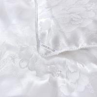 路易卡罗（Louis Kellog） LK-0707被子蚕丝系列-清逸 约1.7KG 200*230cm（单位：条）白色