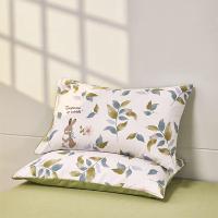 路易卡罗（Louis Kellog） LK-0717 花之恋纯棉四件套 枕套48*74cm*2 被套200*230cm 床单230*230cm (单位:套)