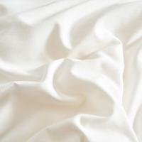 艾逸瑶选JF-24131  芬尼娅大豆纤维春秋被 200*230cm  白色（单位：床）