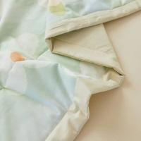 彼加曼BGM-B2516 青柠-全棉印花夏被 180*200cm（单位：条）