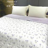 凯丝珀 冰丝棉夏凉被 JF-X018 150*200cm (单位:条)