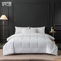 伊伊爱BZ0JD02401257 磨毛布酒店公寓被芯200*230cm（单位：条）