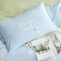 罗莱家纺（LUOLAI）清姿如梦四件套棉被套200*230cm 床单230*240cm 枕套48*74cm*2（单位：套）