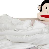 大嘴猴（paul frank） PFFCS241196U 嘉柔蚕丝被 200x230cm 2100g（单位：条）