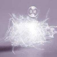 富安娜（fuanna） 苏幕遮 印花鹅绒四季被 被子 230*229cm 黄色（单位：床）