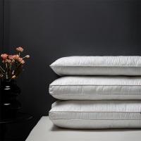 奥特佳（ORTEGA） 002-010021 慕棉枕 48cm*74cm*8cm（±2cm） (单位: 个)白色