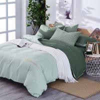 天琴（TISEN） TQ-T131清韵四件套被套200*230cm床单230*250cm枕套48*74*2（单位：套）