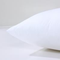富安娜（fuanna） 安睡美梦对枕 枕头 74*48cm*2 白色（单位：对）