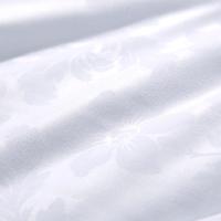 富安娜（fuanna） 清逸夏被悠冉时光 被子 152*210cm 白色（单位：床）