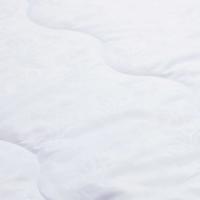 富安娜（fuanna） 清逸夏被悠冉时光 被子 152*210cm 白色（单位：床）