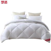 梦洁家纺 抗菌七孔大豆被 1010289084 200*230cm (单位:床)