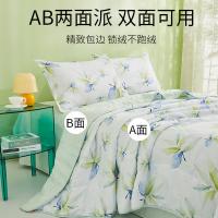恒源祥（HYX） 雅致叶绿 A类可水洗抗菌夏凉被芯 160*210cm（单位：床）