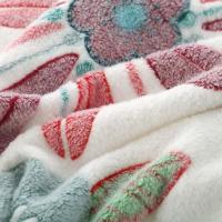 启韵星 花花世界 雪花绒毛毯 100*150cm（单位：条）