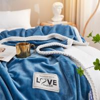 伊伊爱 Y0TK02100085 纯色牛奶绒多功能毯 150*200cm 湖蓝 四季通用 (单位:条)