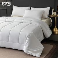 伊伊爱 BZ0JD02401257 磨毛布酒店公寓白色被芯 200*230cm（单位：条）白色