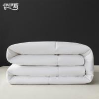 伊伊爱 BZ0JD02401257 磨毛布酒店公寓白色被芯 200*230cm（单位：条）白色