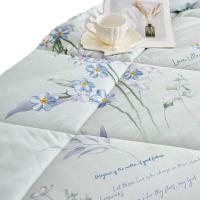 彼加曼 BGM-BX241 熏衣草大豆暖肤被 200*230cm（单位：床）