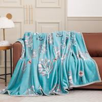 美缘登 T1040-1 绿野仙踪云绒毯 180*200cm（单位：条）