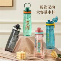 康厨亚（KANGCHUYA）KX8075-750便携运动双饮杯750ml（单位：个）颜色随机